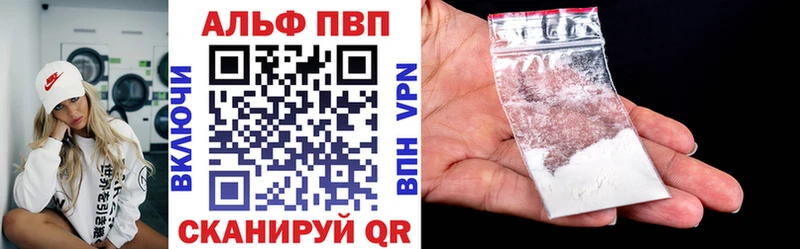 купить закладку  Суздаль  Alpha-PVP СК КРИС 