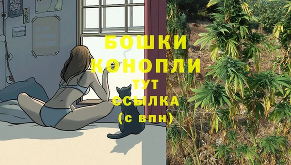 2c-b Абинск