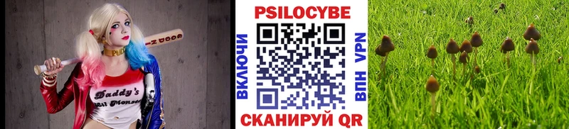 Галлюциногенные грибы прущие грибы  хочу   Суздаль 
